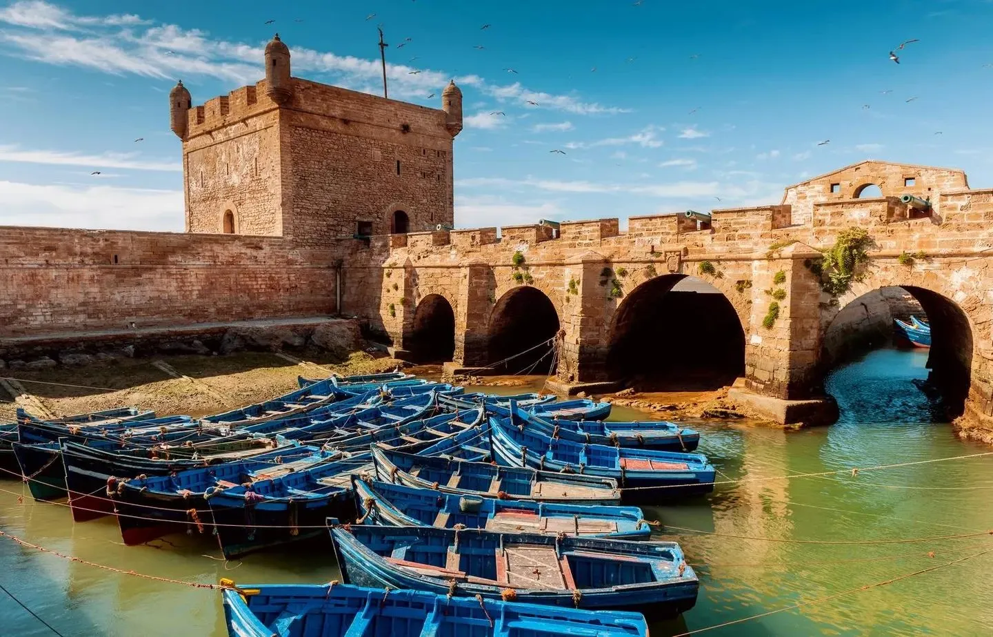 Essaouira — Blue boats