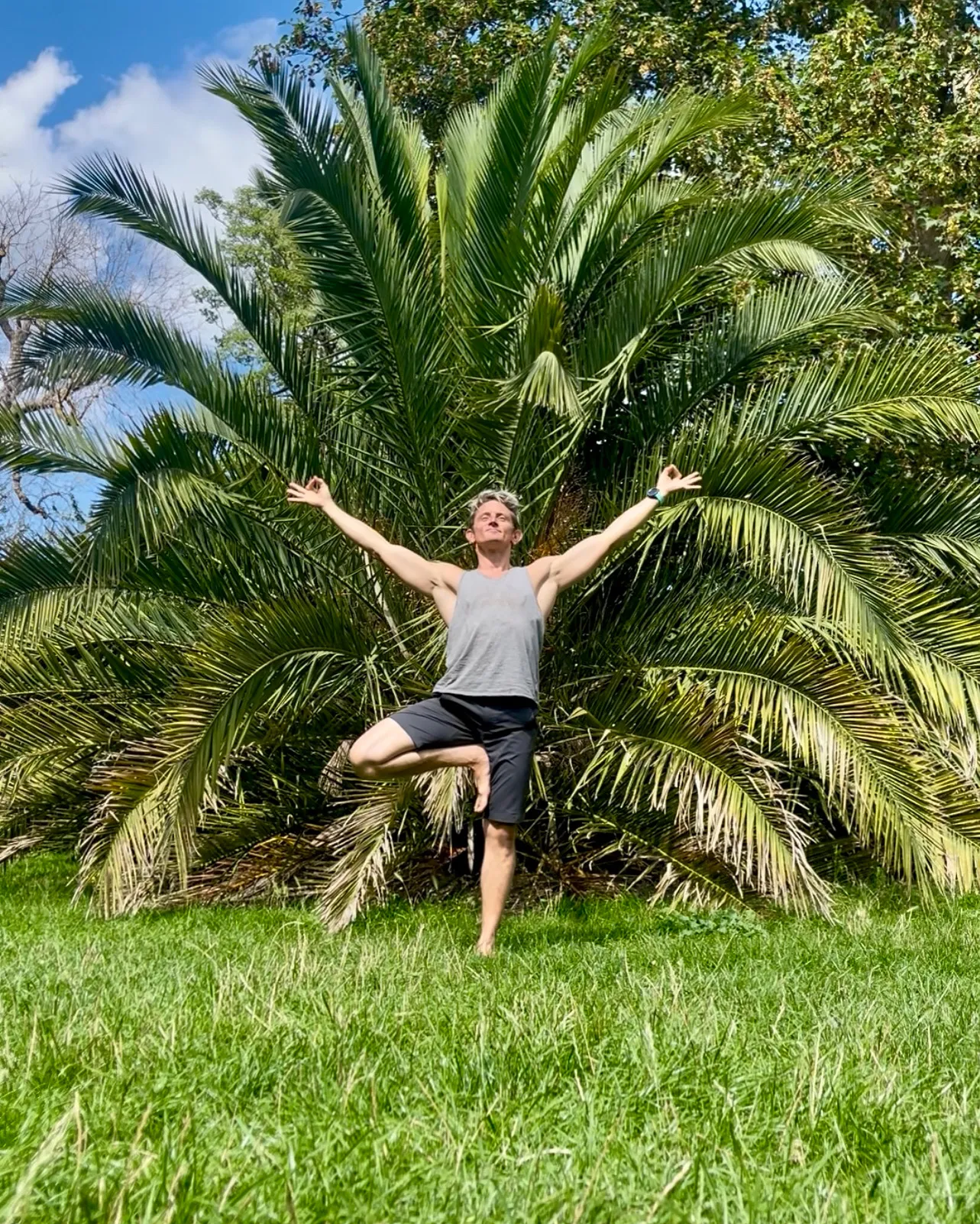 Battersea — Tree pose